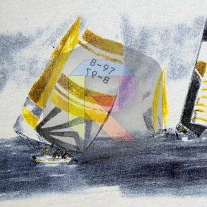 IMGP4183